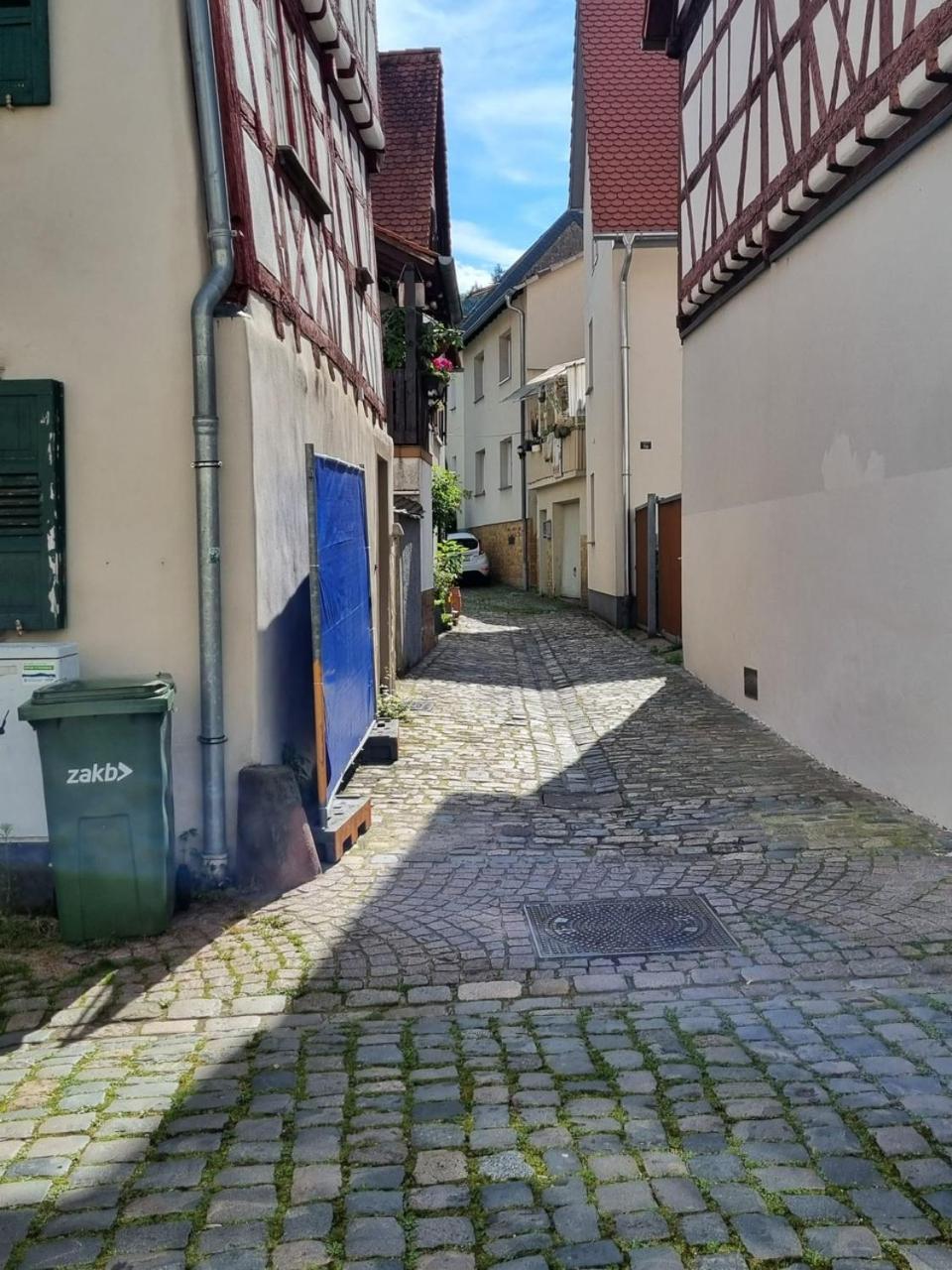 Ferienwohnung Heppenheim An Der Bergstrasse Whg 1 Екстер'єр фото